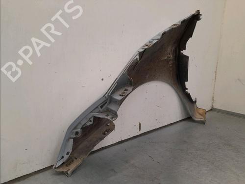 Forskærm Højre RENAULT ESPACE IV (JK0/1_) 2.0 dCi (JK01, JK02, JK1J, JK1K, JK1H) (150 hp) 15770748