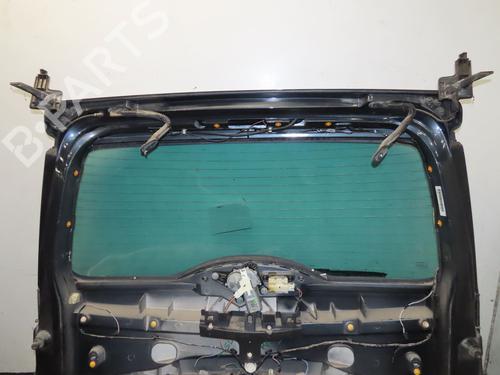 Tailgate RENAULT ESPACE IV (JK0/1_) 2.0 dCi (JK03, JK04, JK1C, JK1G, JK1J, JK1K) | BP29494634C6 