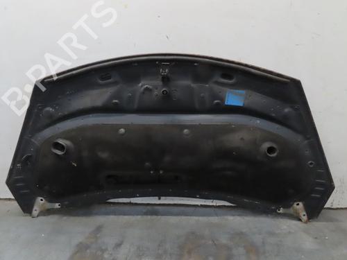 Hood RENAULT ESPACE IV (JK0/1_) 2.0 dCi (JK03, JK04, JK1C, JK1G, JK1J, JK1K) | BP29739417C1 
