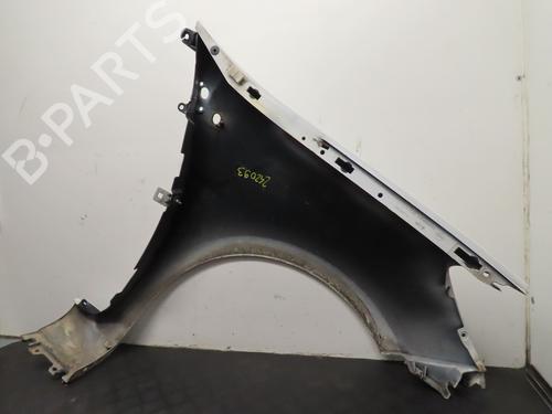 Left front fenders RENAULT CLIO III (BR0/1, CR0/1) 1.5 dCi (C/BR0G, C/BR1G) | BP22366865C41 
