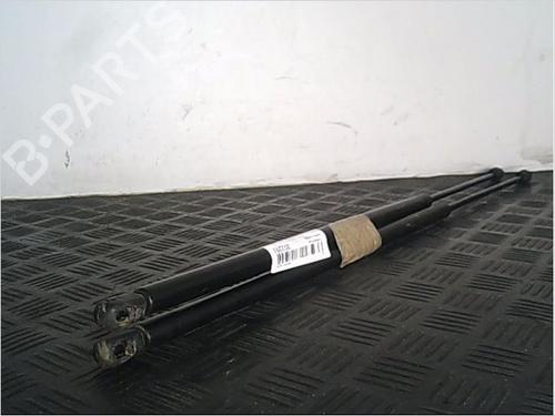 Tailgate lift support CITROËN BERLINGO / BERLINGO FIRST Box Body/MPV (M_) 1.9 D 70 (MBWJZ, MCWJZ) | BP14857610C138 