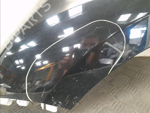 Left front fenders RENAULT MEGANE III Hatchback (BZ0/1_, B3_) 1.6 dCi (BZ00, BZ12, BZ13) | BP28032887C41 