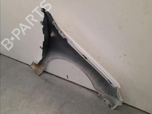 Left front fenders RENAULT KANGOO Express (FW0/1_) 1.5 dCi 70 (FW0A, KW0V) | BP16039690C41 