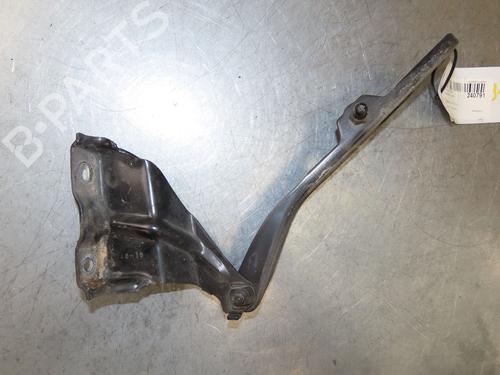 Hinge/Door check strap AUDI Q5 (8RB) SQ5 TDI quattro | BP29380717C146 