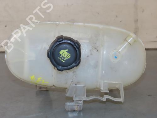 Expansion tank RENAULT TRAFIC III Van (FG_) 1.6 dCi 115 (FGMD) | BP25610318C120 