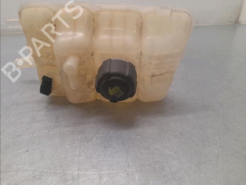Ekpansionstank RENAULT MEGANE IV Hatchback (B9A/M/N_) 1.6 TCe 205 (B9MV) (205 hp) 30092325