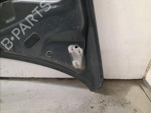 Hood VW TOUAREG (7LA, 7L6, 7L7) 2.5 R5 TDI | BP22848111C1 