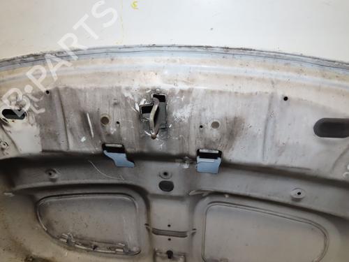 Hood DACIA SANDERO II 1.2 | BP29985812C1