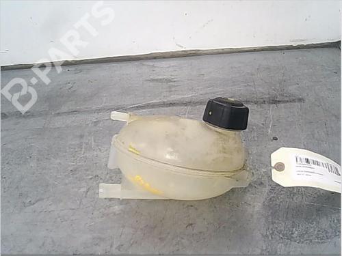 Used Expansion tank DACIA SANDERO II TCe 90 (B8M1, B8MA, B8AC) (90 hp) 9572554