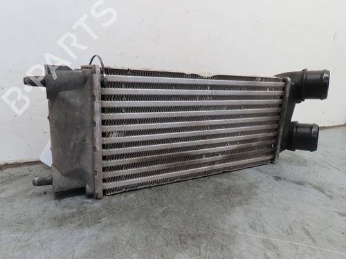 Used Other PEUGEOT PARTNER Tepee 1.6 BlueHDi 100 (100 hp) 18662901