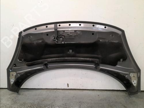 Hood RENAULT SCÉNIC III (JZ0/1_) 1.6 dCi (JZ00, JZ12) | BP16105841C1