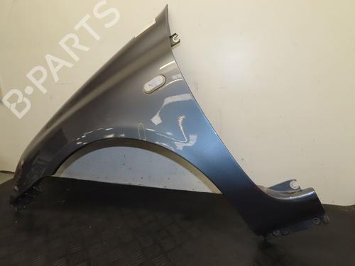 Left front fenders RENAULT CLIO II (BB_, CB_) 1.5 dCi (B/C2J) | BP29016784C41 