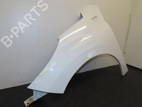 Left front fenders PEUGEOT 207 CC (WD_) 1.6 HDi | BP29759561C41 