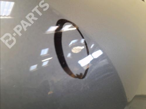 Left rear door RENAULT SCÉNIC III (JZ0/1_) 1.5 dCi (JZ02, JZ0R) | BP11832613C4 