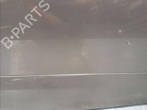 Right front door RENAULT SCÉNIC III (JZ0/1_) 1.9 dCi (JZ0J, JZ1J, JZ1K, JZ1S) | BP15722217C3 