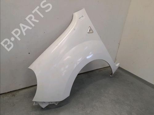 Left front fenders RENAULT KANGOO Express (FW0/1_) 1.5 dCi 70 (FW0A, KW0V) | BP12207345C41 