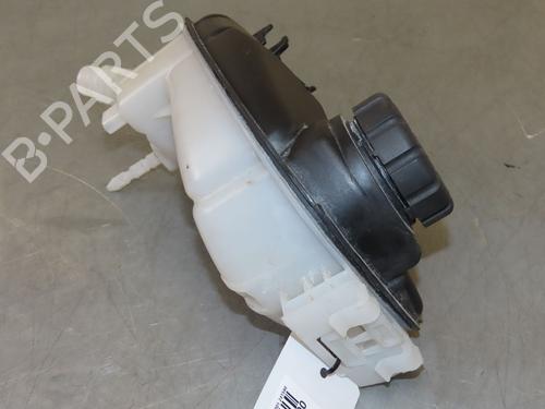 Expansion tank MERCEDES-BENZ A-CLASS (W176) AMG A 45 4-matic (176.052) | BP22341323C120 