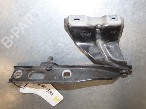 Hinge/Door check strap AUDI Q5 (8RB) SQ5 TDI quattro | BP29380717C146 