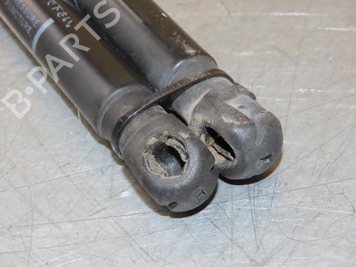 Tailgate lift support SUZUKI SWIFT V (AZ) 1.2 Hybrid (Mild Hybrid) (A2L412) | BP29294050C138