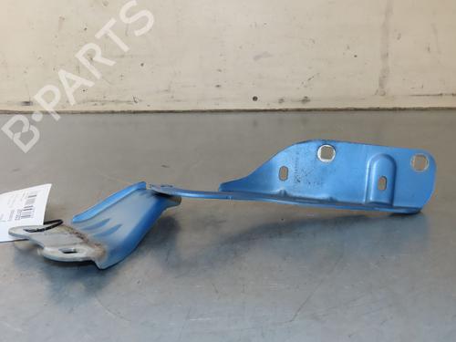 hingedoor-check-strap-renault-twingo-ii-cn0_-2007-29441476 main image