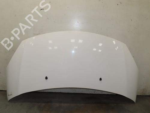hood-citroen-c3-ii-sc_-2009-38608120 main image