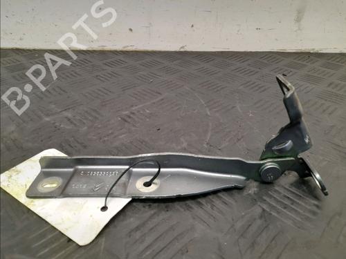 Hinge/Door check strap CITROËN DS3 (SA_) 1.4 VTi 95 | BP27923434C146 
