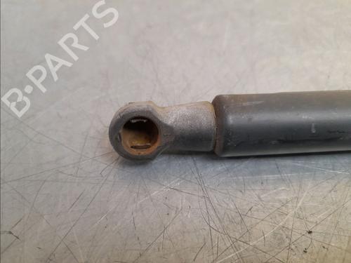 Tailgate lift support AUDI A3 (8P1) 1.9 TDI | BP14945979C138 