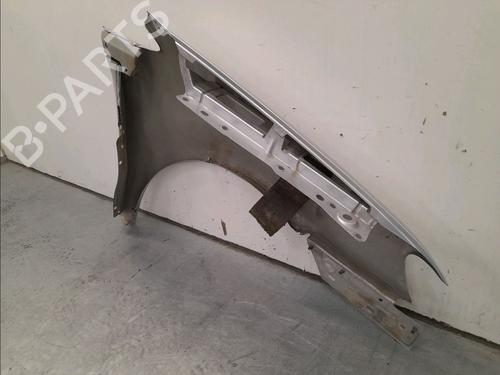 Left front fenders VW TOURAN (1T1, 1T2) 1.9 TDI | BP15770755C41 
