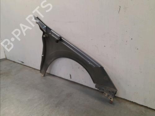 Left front fenders OPEL ASTRA H (A04) 1.7 CDTI (L48) | BP16308913C41 