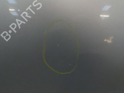 Left slide door RENAULT KANGOO (KC0/1_) 1.5 dCi | BP30893286C74 