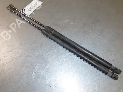 Tailgate lift support NISSAN QASHQAI I (J10, NJ10) 1.5 dCi | BP26511678C138