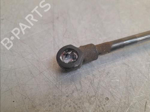 Tailgate lift support CITROËN C3 III (SX) 1.2 VTi 82 | BP14946001C138