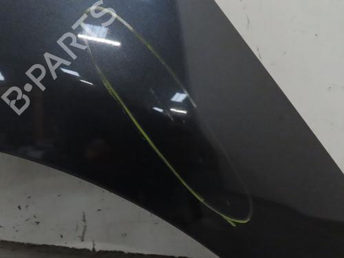Used Left front fenders RENAULT SCÉNIC III (JZ0/1_) 1.5 dCi (110 hp) 24831600