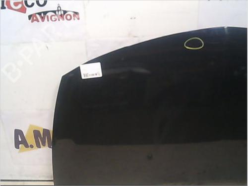Used Hood RENAULT CLIO III (BR0/1, CR0/1) 1.5 dCi (BR17, CR17) (86 hp) 9406147