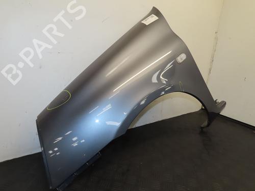 Left front fenders RENAULT CLIO II (BB_, CB_) 1.5 dCi (B/C2J) | BP29016784C41 