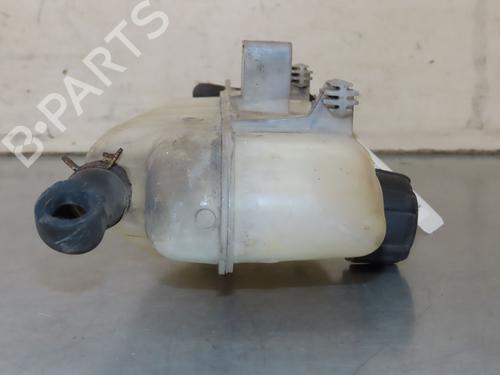 Expansion tank RENAULT CLIO III (BR0/1, CR0/1) 1.5 dCi (BR17, CR17) | BP25610319C120 