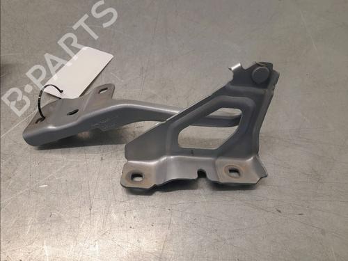 Hinge/Door check strap RENAULT CLIO V (B7_) 1.5 Blue dCi 85 (B7AG) | BP32223050C146