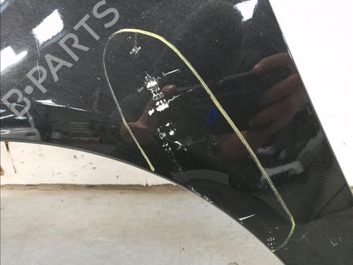 Left front fenders SKODA FABIA II Combi (545) 1.6 TDI | BP22366853C41 