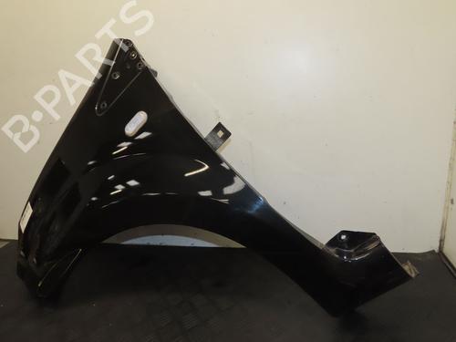 Left front fenders RENAULT TWINGO II (CN0_) 1.2 16V (CN0K, CN0V, CN0A) | BP29016785C41 