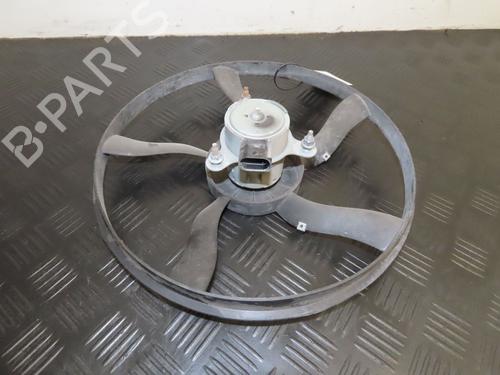 Used Radiator fan PEUGEOT 206+ (2L_, 2M_) 1.4 i (2LKFWA, 2MKFWA) (75 hp) 25207914