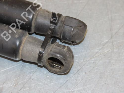 Tailgate lift support NISSAN QASHQAI I (J10, NJ10) 1.5 dCi | BP26511678C138