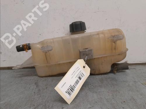 Used Expansion tank RENAULT CLIO III (BR0/1, CR0/1) 1.5 dCi (88 hp) 11976254