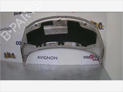 Hood PEUGEOT 207 SW (WK_) 1.6 HDi | BP23158516C1