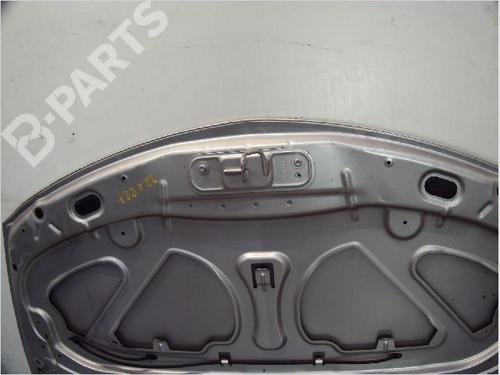 Hood RENAULT CLIO III (BR0/1, CR0/1) 1.5 dCi (BR17, CR17) | BP11098423C1