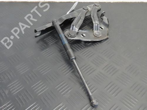 Hinge/Door check strap AUDI A1 (8X1, 8XK) 1.2 TFSI | BP19133021C146 