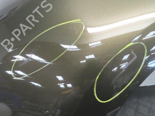 Forskærm venstre CITROËN C4 Picasso I MPV (UD_) 1.6 HDi 110 | BP29759563C41