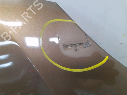 Hood RENAULT TWINGO III (BCM_, BCA_) 1.0 SCe 70 (BCMB) | BP22366892C1