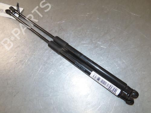 Tailgate lift support CITROËN C3 III (SX) 1.2 THP 110 (SXHNPS, SXHNZT, SXHNZ6) | BP29294044C138 
