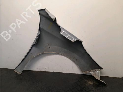 Left front fenders PEUGEOT 207 (WA_, WC_) 1.6 HDi | BP28032885C41 