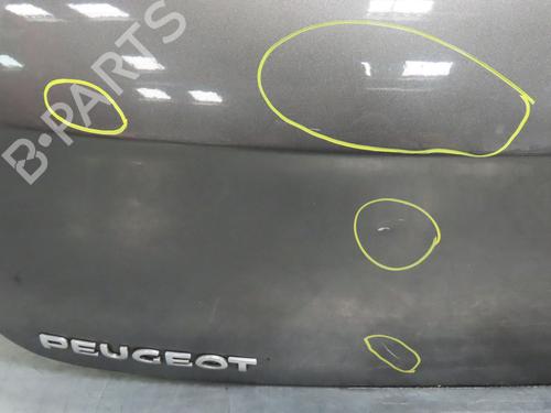 Tailgate PEUGEOT 308 I (4A_, 4C_) 1.6 HDi | BP19790918C6 